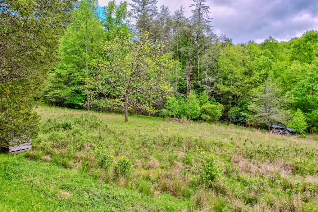 16400 Big Creek Road Cherry Log, GA 30522 - Photo 23 of 36