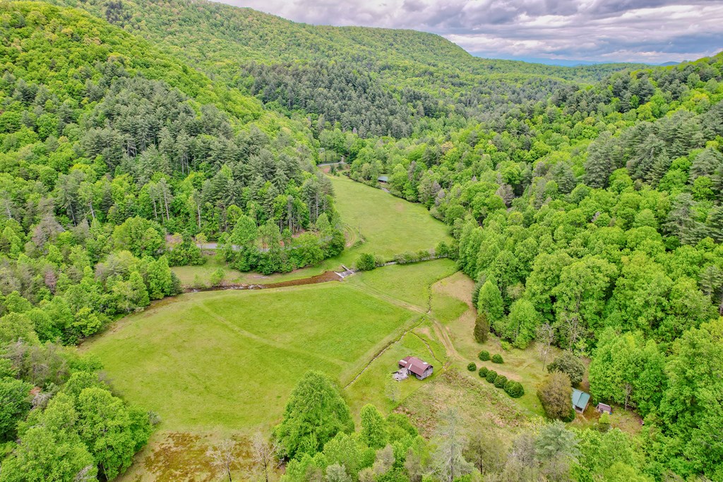 16400 Big Creek Road Cherry Log, GA 30522 - Photo 26 of 36