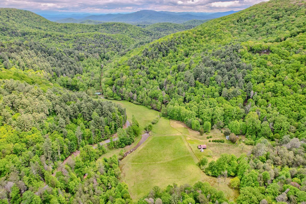 16400 Big Creek Road Cherry Log, GA 30522 - Photo 27 of 36