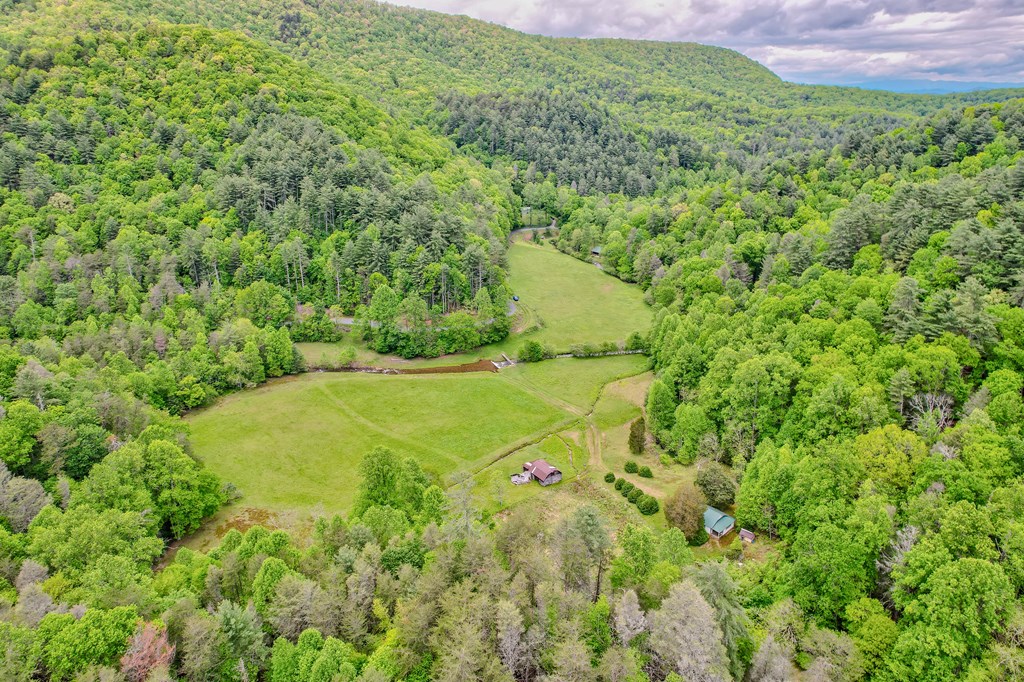 16400 Big Creek Road Cherry Log, GA 30522 - Photo 3 of 36