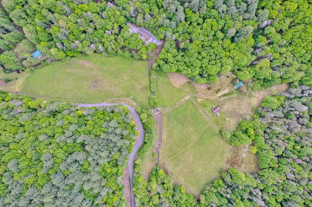 $799,900 | 16400 Big Creek Road, Cherry Log, GA 30522