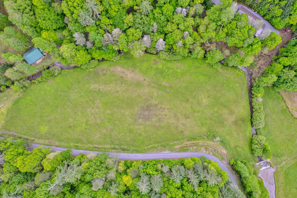 16400 Big Creek Road Cherry Log, GA 30522 - Photo 4 of 36