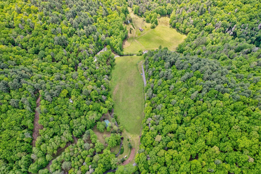 16400 Big Creek Road Cherry Log, GA 30522 - Photo 5 of 36