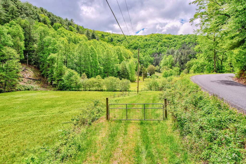 16400 Big Creek Road Cherry Log, GA 30522 - Photo 6 of 36