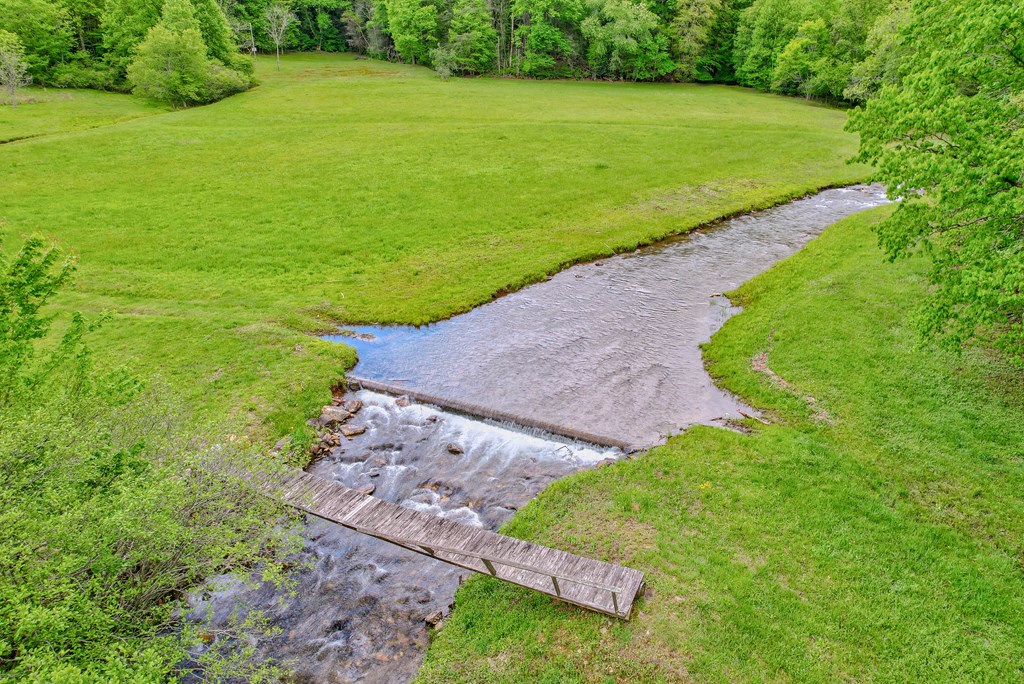 16400 Big Creek Road Cherry Log, GA 30522 - Photo 10 of 36