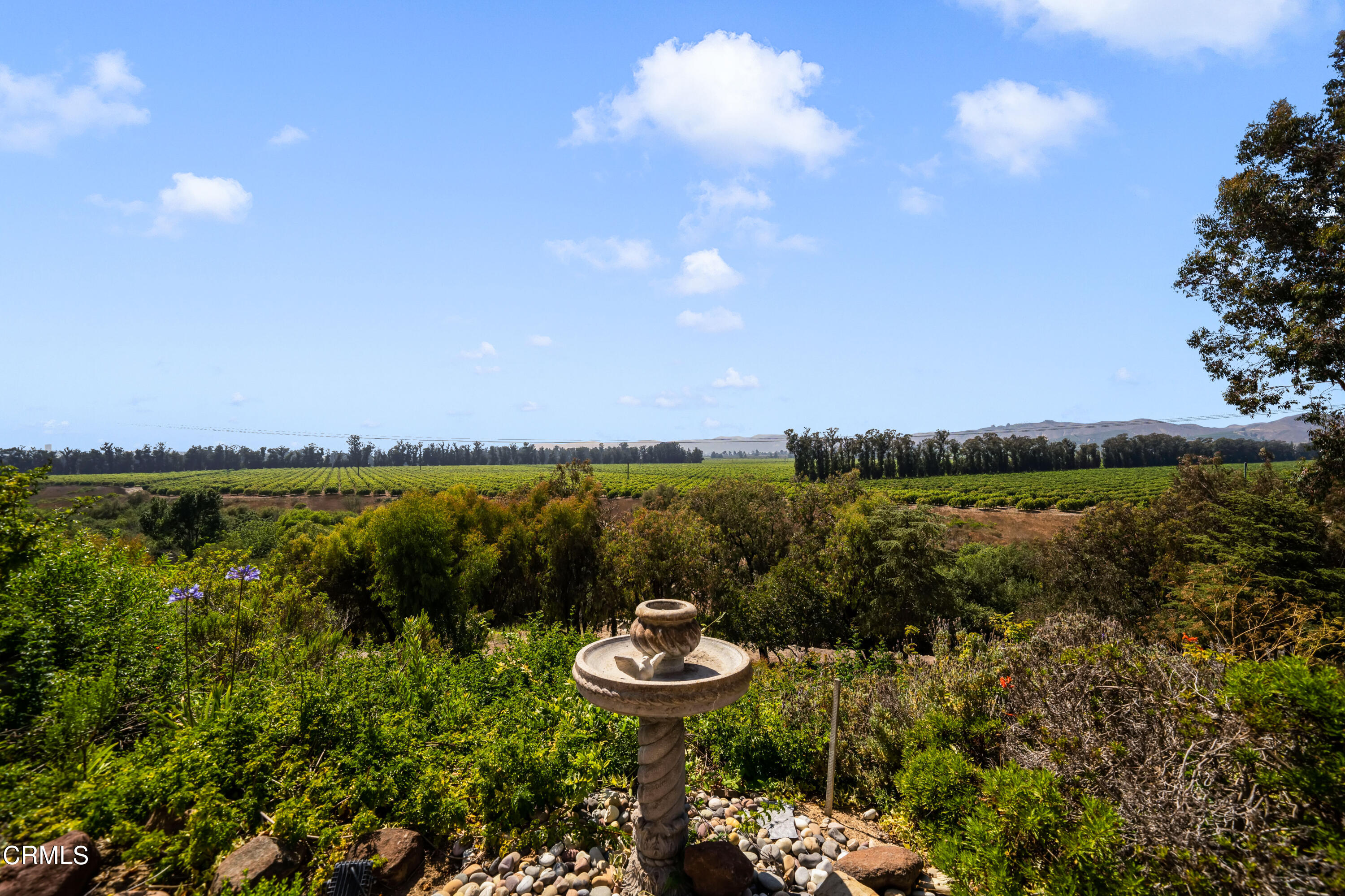 661 Corte De Quintero Camarillo, CA 93010 - Photo 52 of 54 Still-84