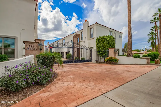 a view of a garden with plants