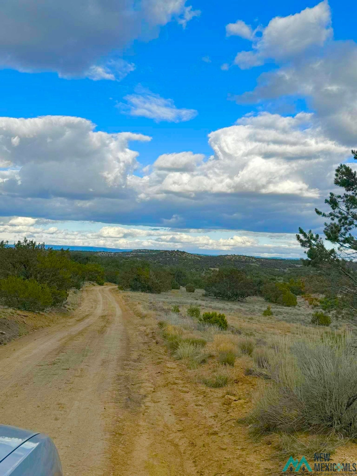 98 Great White Father Road Ramah, NM 87357 - Photo 5 of 16 Gallery Image 5