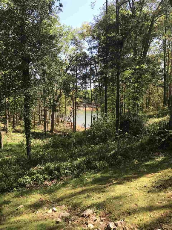 1711 Leeward Road Anderson, SC 29625 - Photo 36 of 36 Gallery Image 36