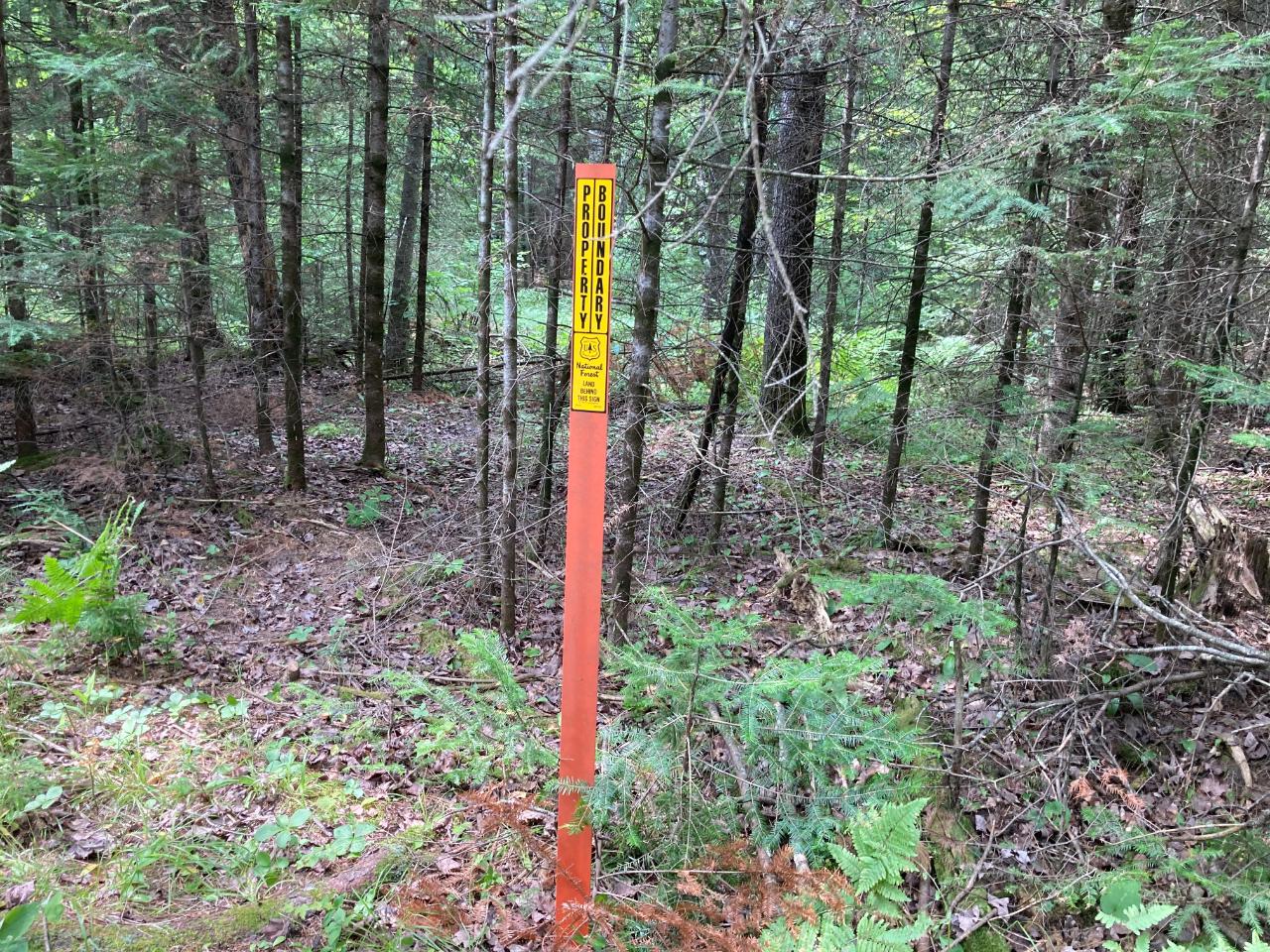 101 Old 101 Road, Unit 40 ACRES Armstrong Creek, WI 54103 - Photo 6 of 18 Gallery Image 6