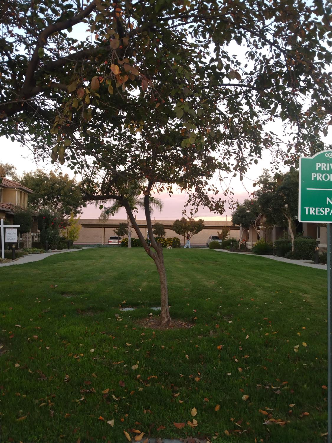 1128 West Walter Avenue, Unit 64 Fowler, CA 93625 - Photo 17 of 20