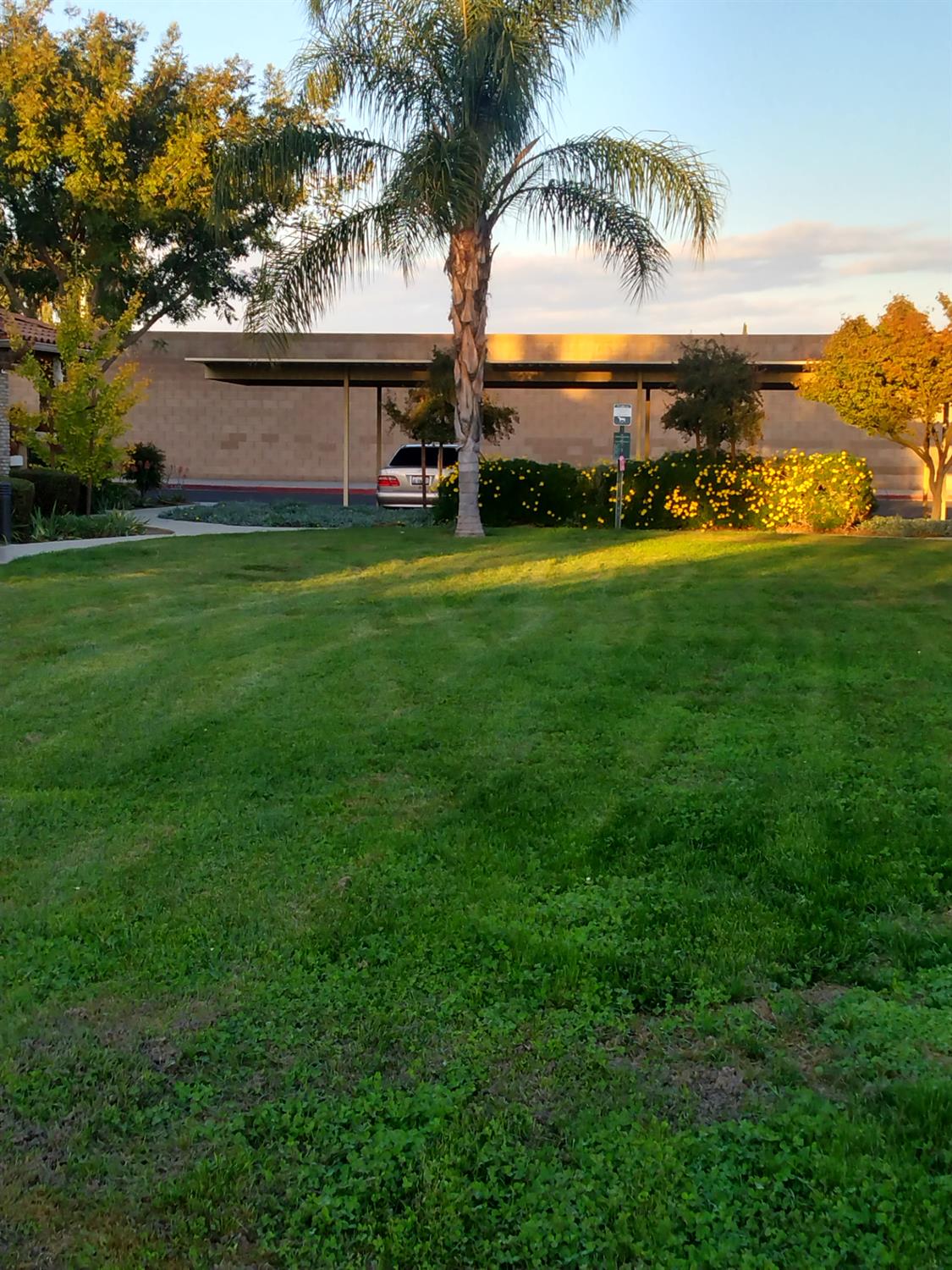 1128 West Walter Avenue, Unit 64 Fowler, CA 93625 - Photo 20 of 20