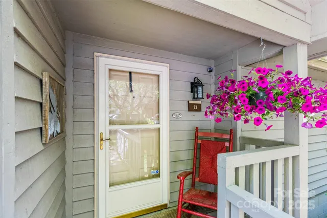 a flower plants in front of a glass door