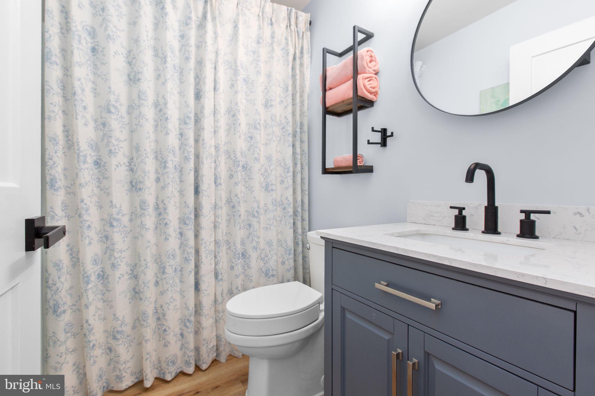 28896 Horseshoe Road Culpeper, VA 22701 - Photo 29 of 36 a bathroom with a toilet a sink and a mirror