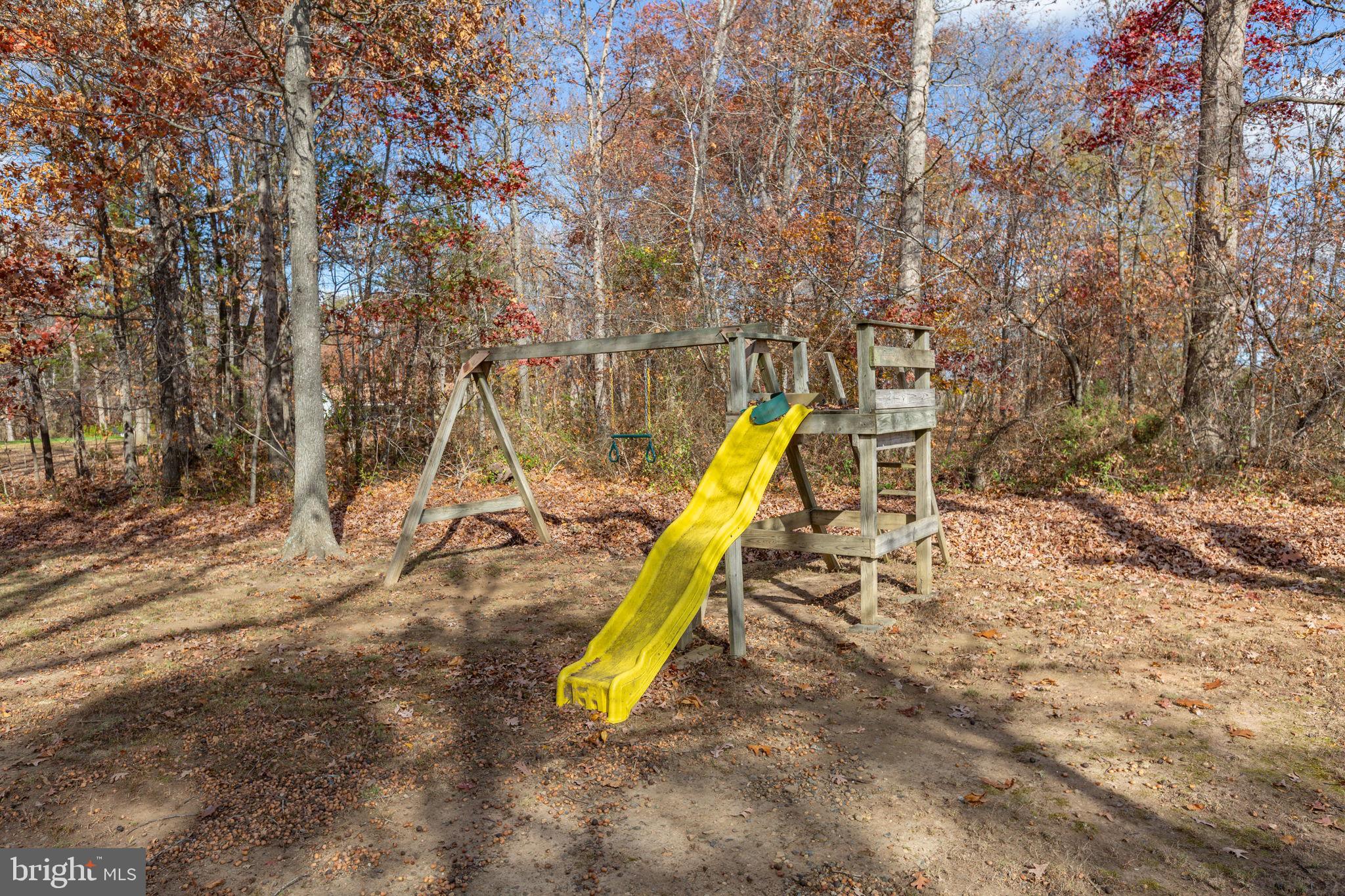 28896 Horseshoe Road Culpeper, VA 22701 - Photo 34 of 36 a view of a swimming pool with a slide