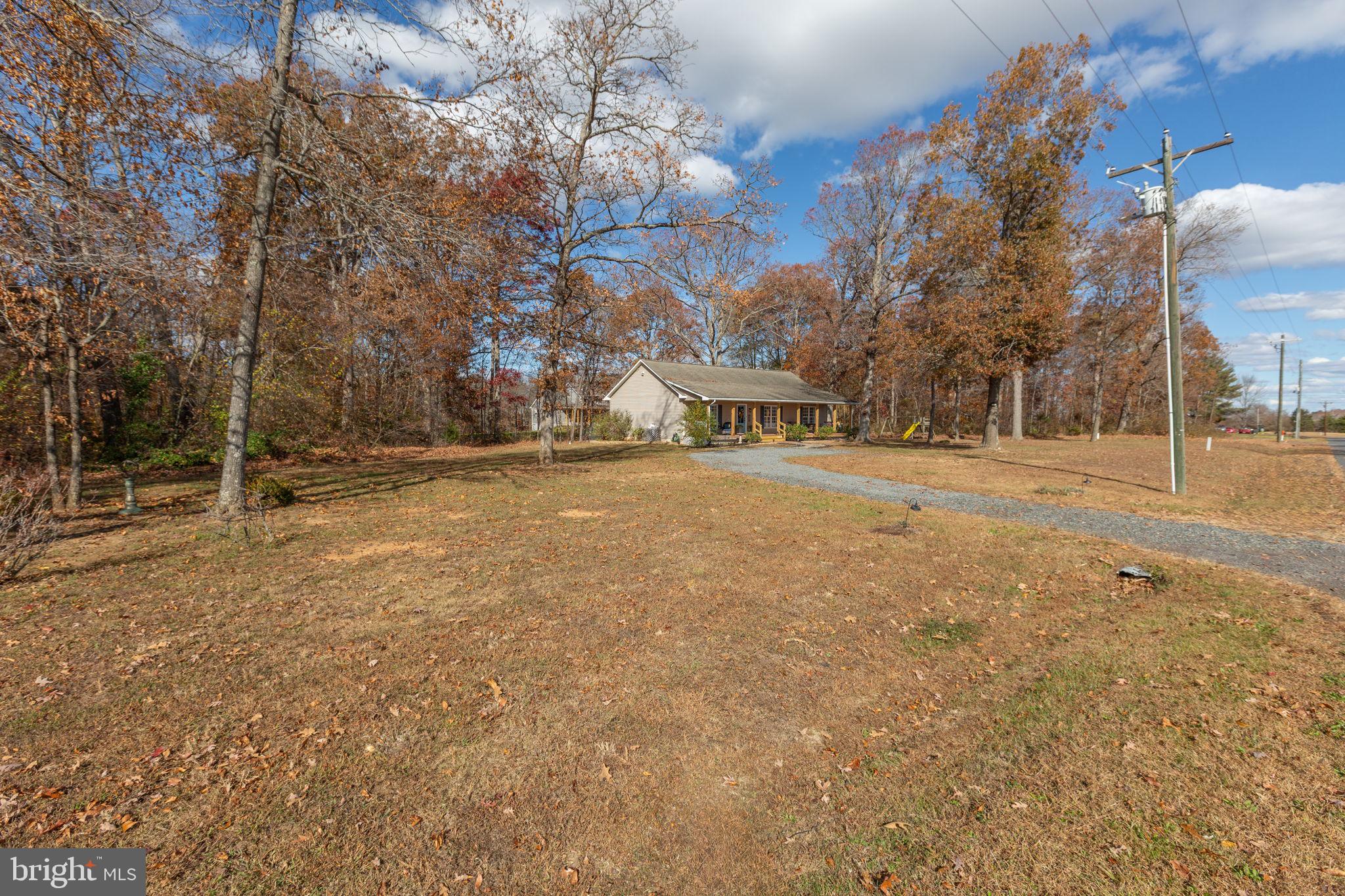28896 Horseshoe Road Culpeper, VA 22701 - Photo 5 of 36 a view of yard with trees