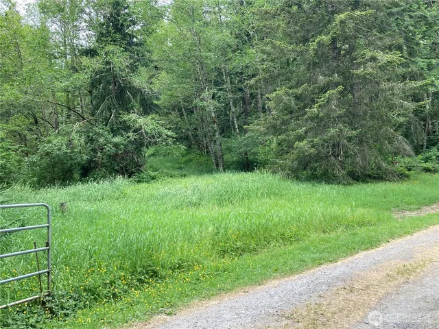 a view of a green field with lots of bushes