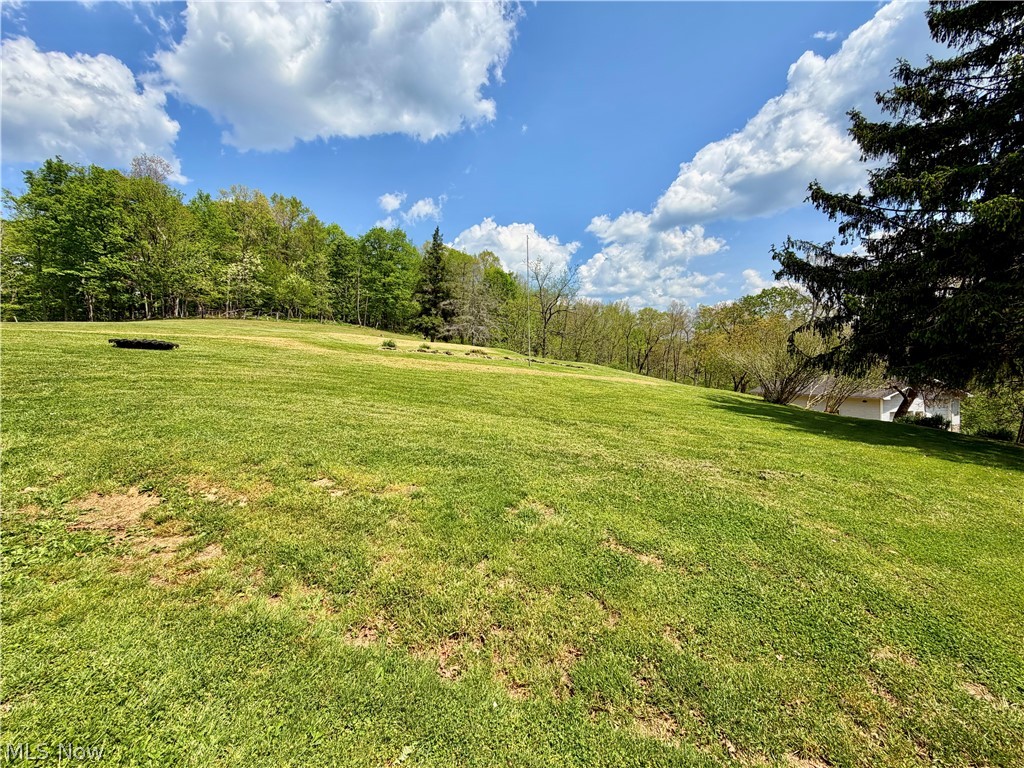 2163 Bull Run Road Waverly, WV 26184 - Photo 41 of 47