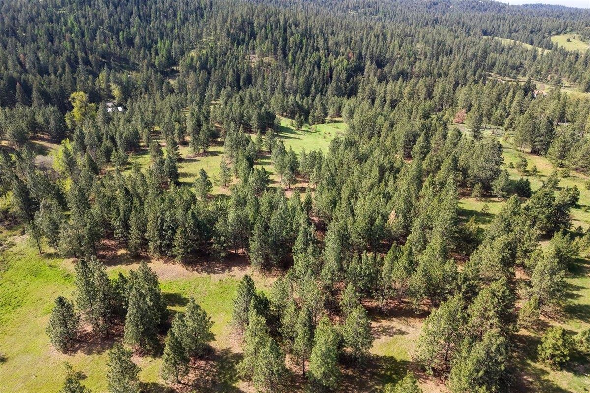 Tbd East Belmont Road Mica, WA 99023 - Photo 13 of 27