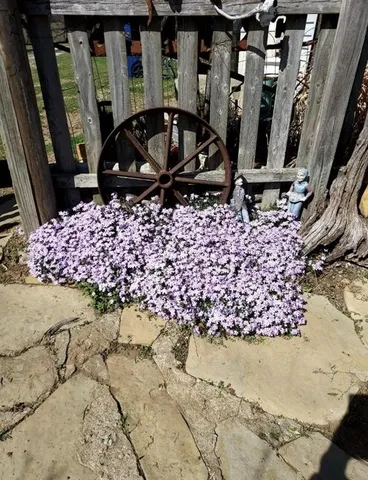 $310,000 | 2810 Cr 4350 N/a Coffeyville Ks 67337 N/a, Coffeyville, KS 67337