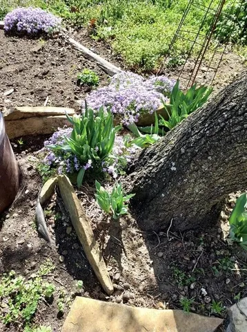 $310,000 | 2810 Cr 4350 N/a Coffeyville Ks 67337 N/a, Coffeyville, KS 67337