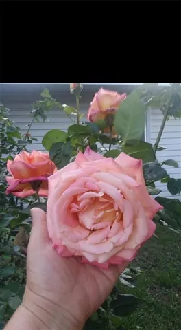 $310,000 | 2810 Cr 4350 N/a Coffeyville Ks 67337 N/a, Coffeyville, KS 67337