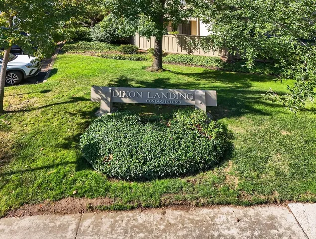 a view of a garden with an outdoor space