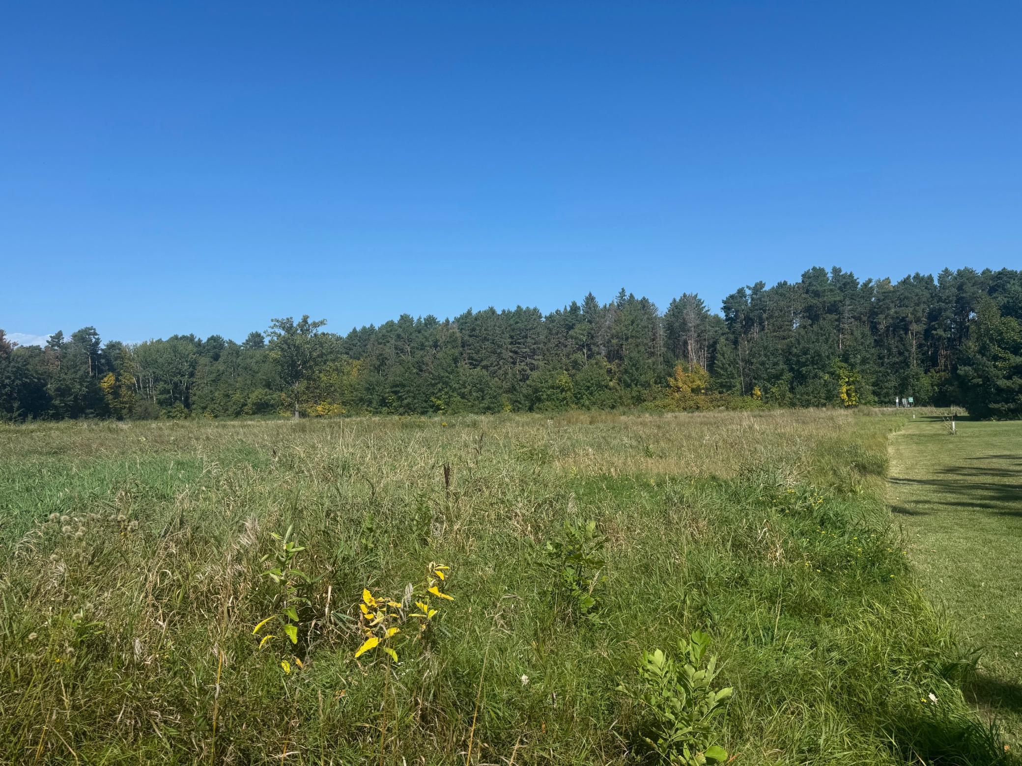 Tbd Lilac Drive Garrison, MN 56450 - Photo 5 of 5