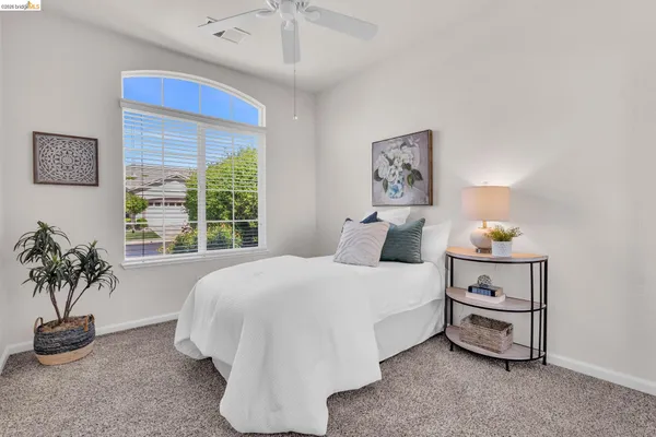 a bedroom with a bed and a potted plant