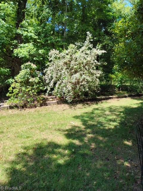 2285 Locust Grove Road Westfield, NC 27053 - Photo 27 of 32 YARD /GARDEN