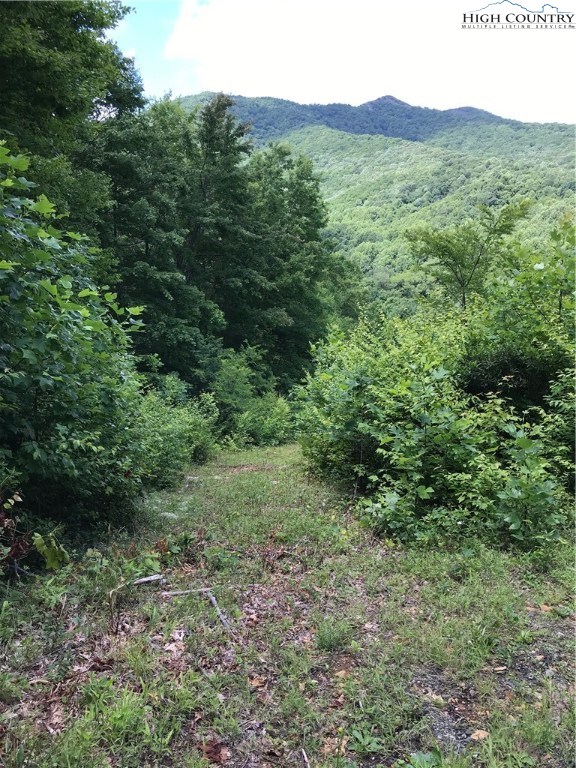 941-2 Ben Bolen Road Creston, NC 28615 - Photo 2 of 11 Gallery Image 2