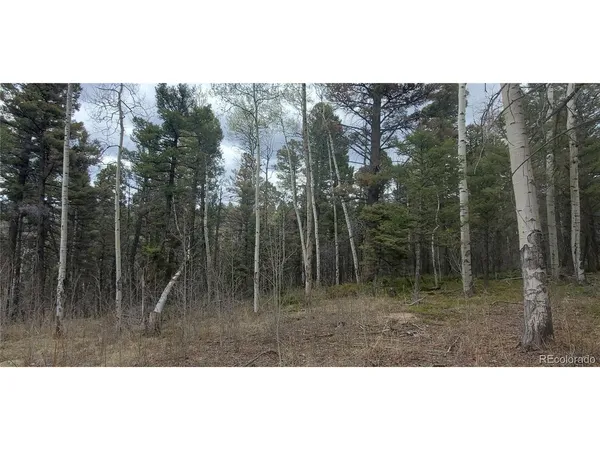 a view of outdoor space with trees all around