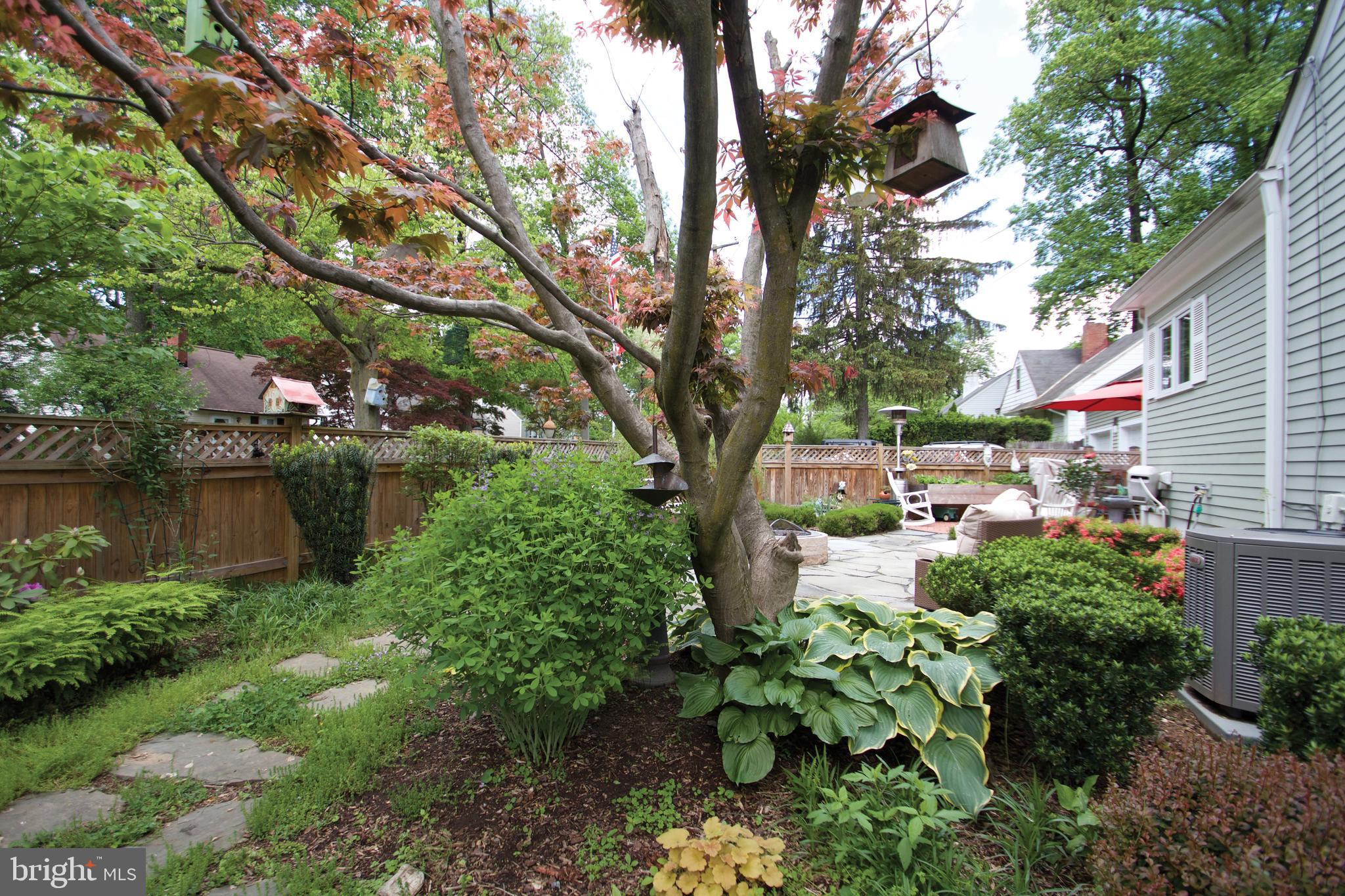 717 Roxboro Road Rockville, MD 20850 - Photo 23 of 62 Your own personal oasis