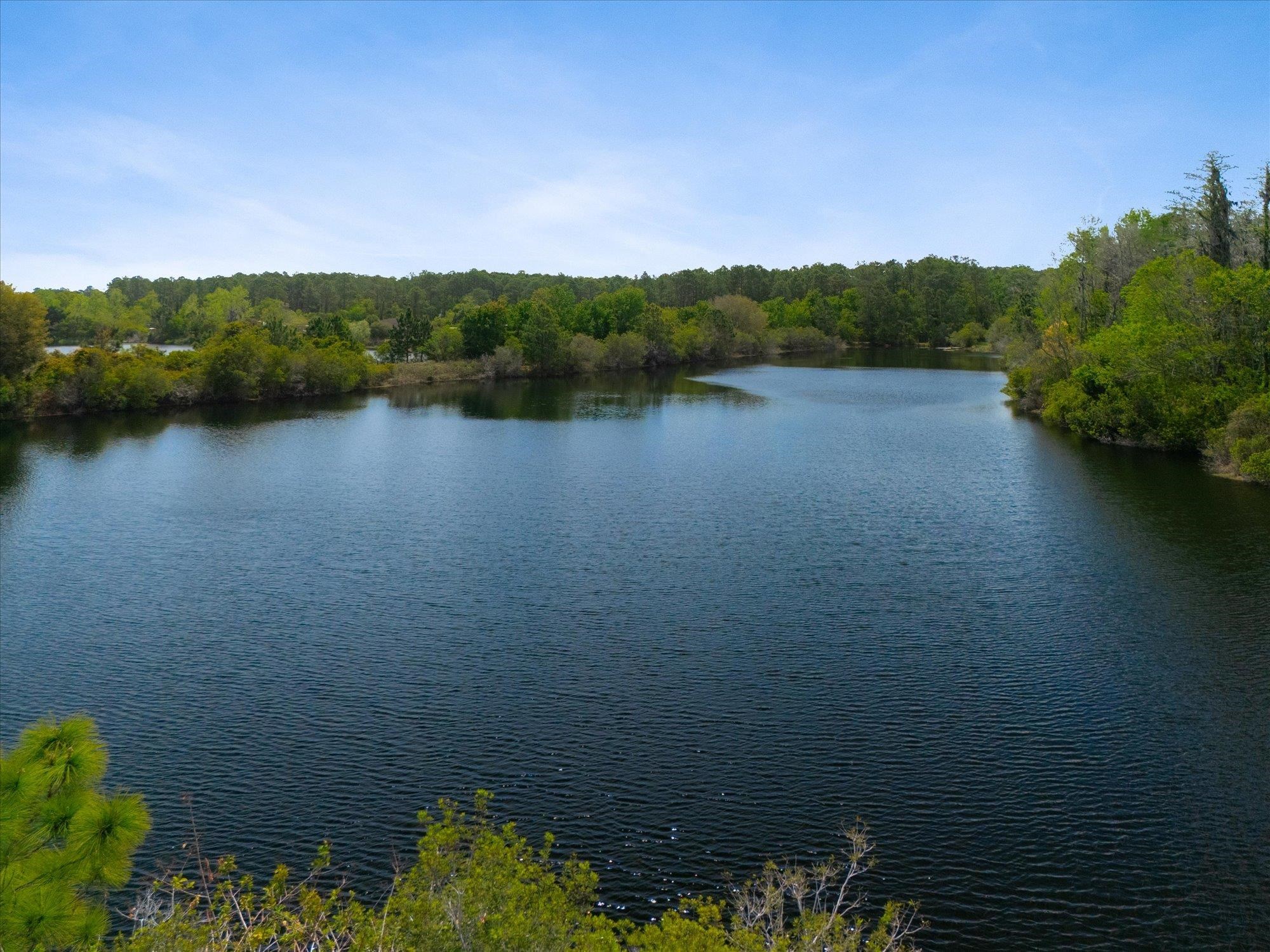 89 Kingsley Pk Way St. Augustine, FL 32084 - Photo 61 of 67 Water view with a heavily wooded area
