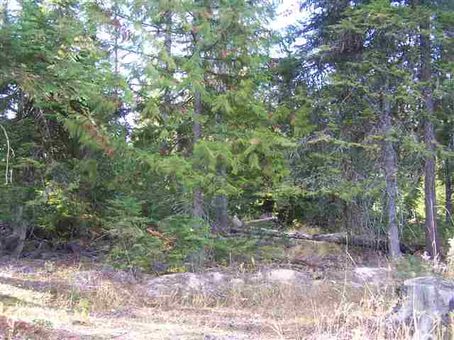 Off Kings Lake Road Usk, WA 99180 - Photo 3 of 9