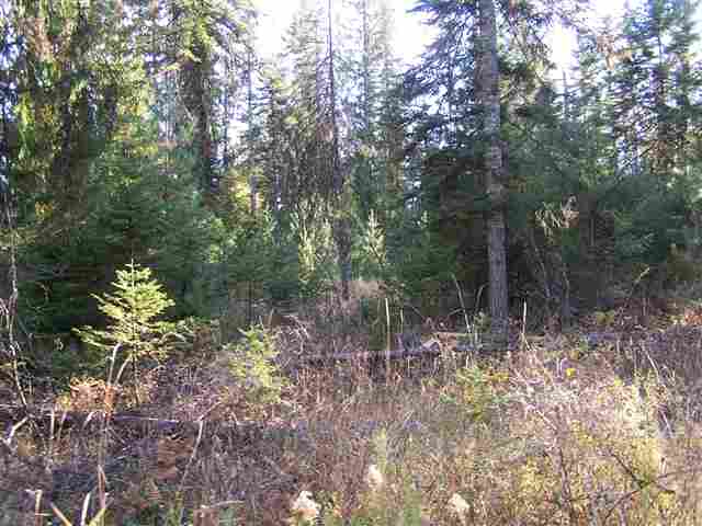 Off Kings Lake Road Usk, WA 99180 - Photo 5 of 9