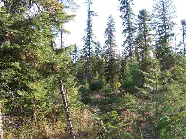 Off Kings Lake Road Usk, WA 99180 - Photo 6 of 9
