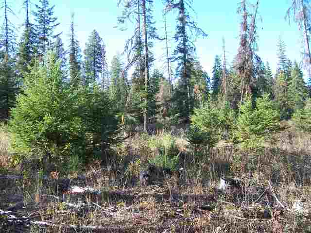 Off Kings Lake Road Usk, WA 99180 - Photo 7 of 9