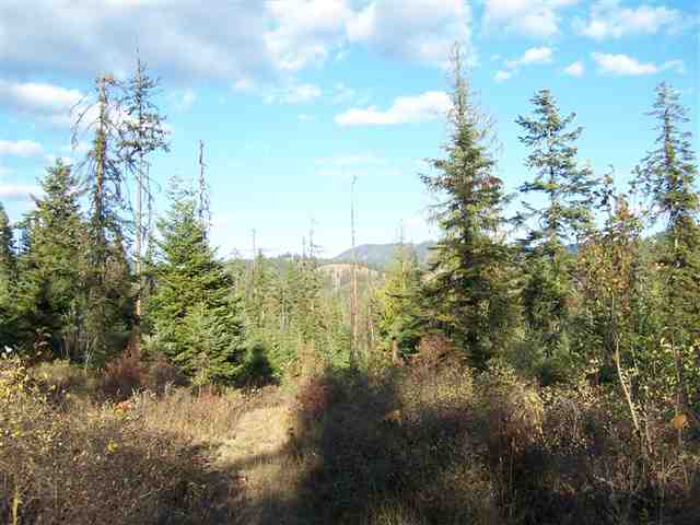 Off Kings Lake Road Usk, WA 99180 - Photo 8 of 9
