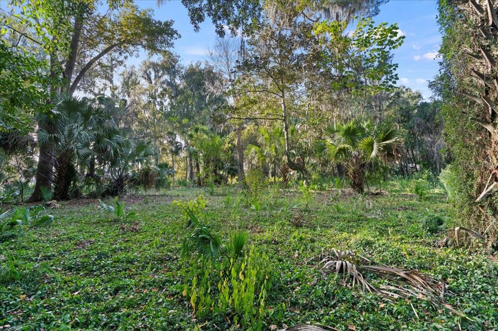 6809 Southeast 14th Lane Gainesville, FL 32641 - Photo 2 of 14 a big yard with lots of green space and trees