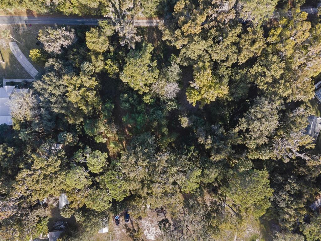 6809 Southeast 14th Lane Gainesville, FL 32641 - Photo 5 of 14 a view of a tree