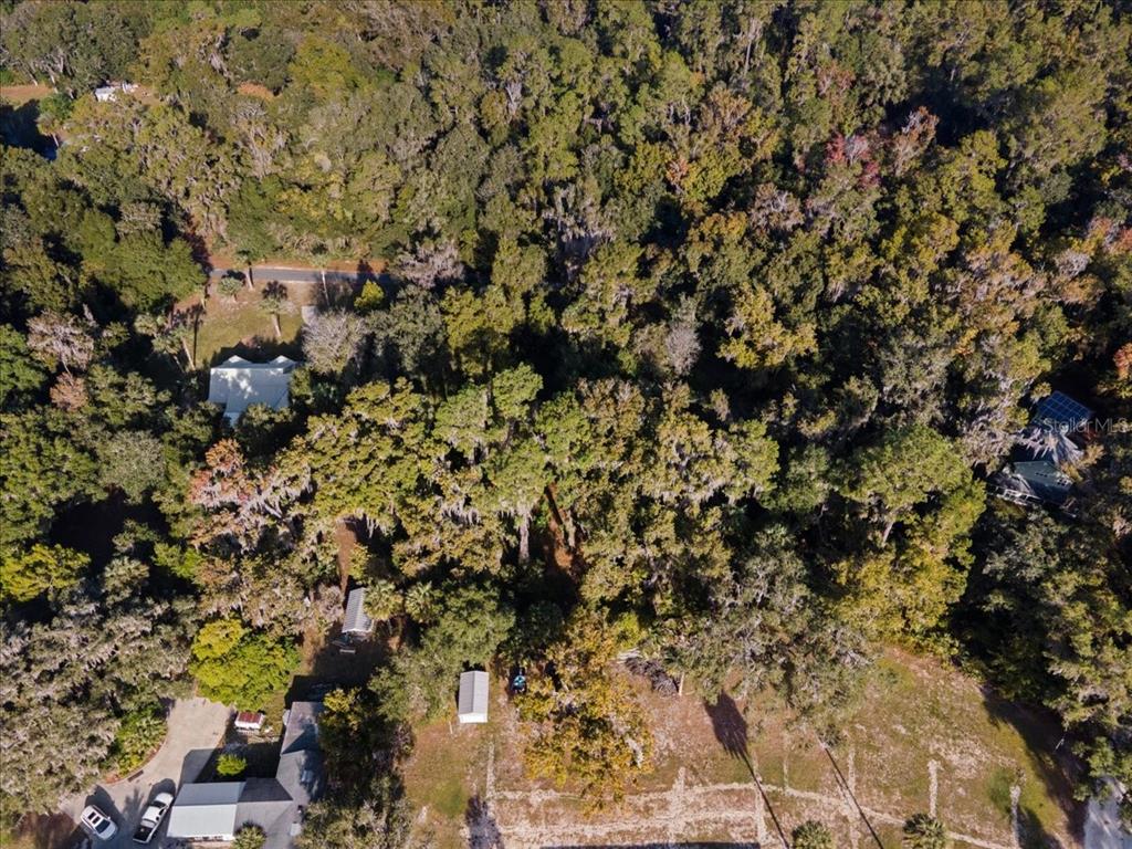 6809 Southeast 14th Lane Gainesville, FL 32641 - Photo 8 of 14 a view of a tree