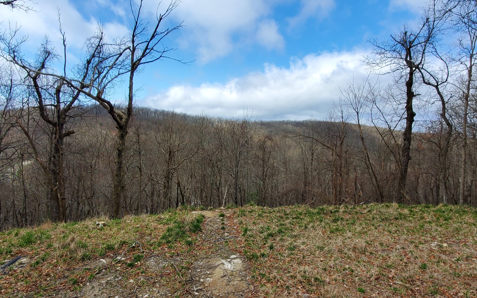 385 Burnt Mountain Ridge Road Jasper, GA 30143 - Photo 1 of 4 Main View