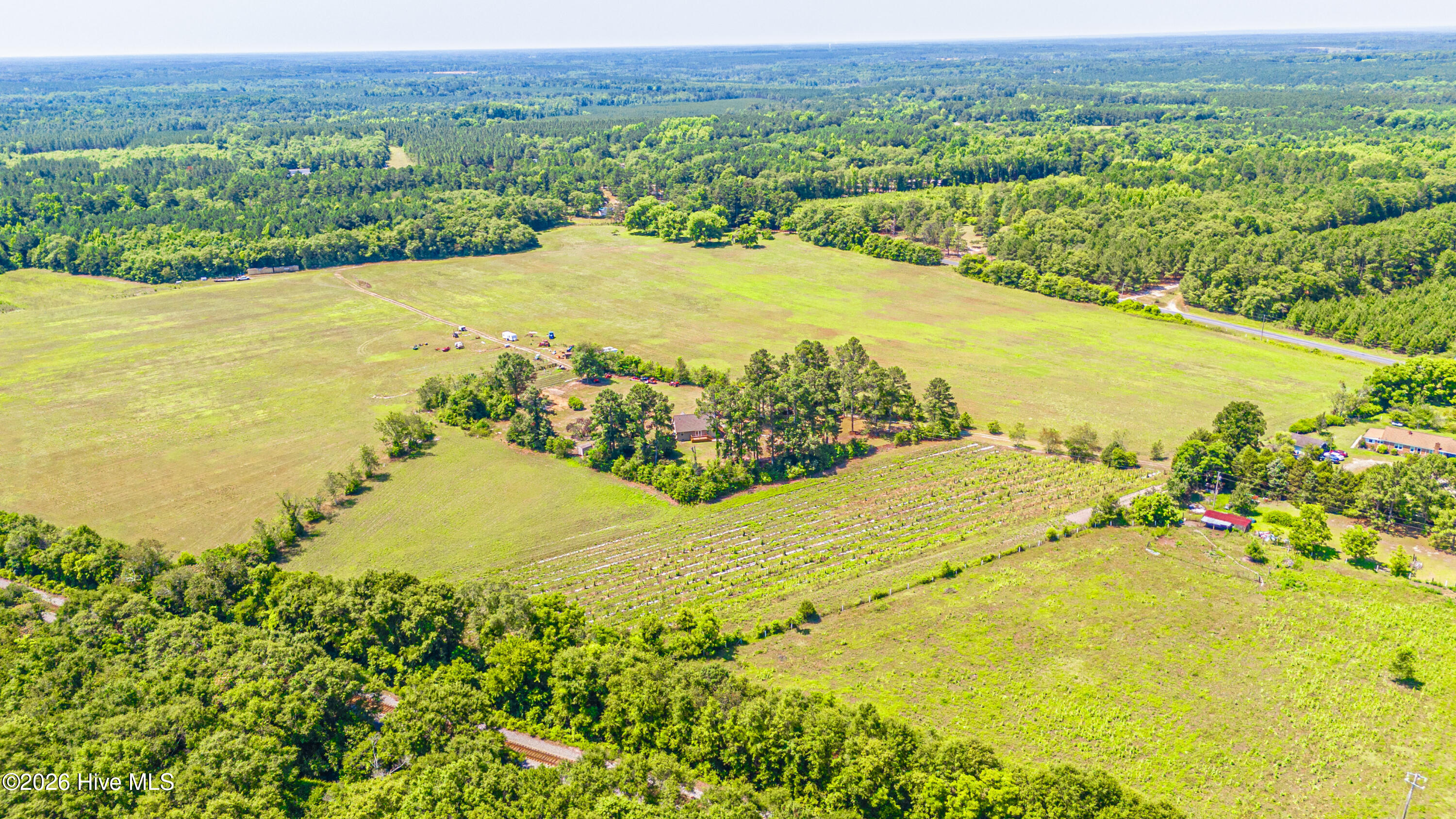 1532 Ghio Road Hamlet, NC 28345 - Photo 41 of 62 DJI_20240614113436_0018_D