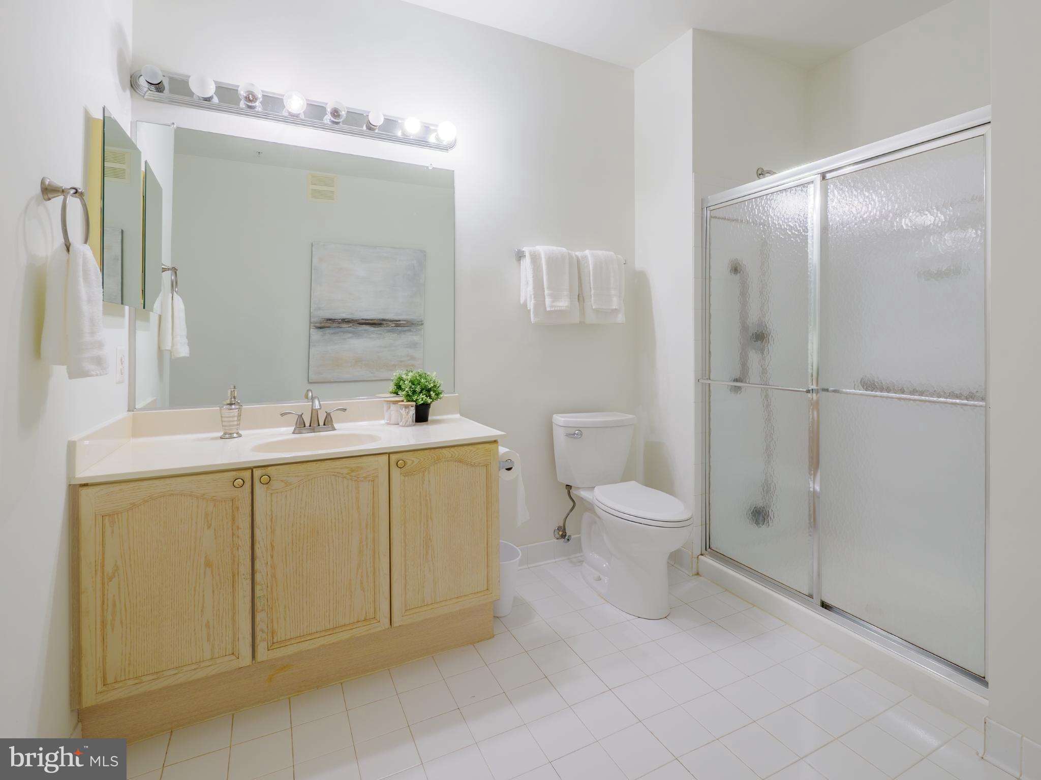 4330 L Cannon Ridge Court, Unit 31 Fairfax, VA 22033 - Photo 14 of 28 Primary bathroom