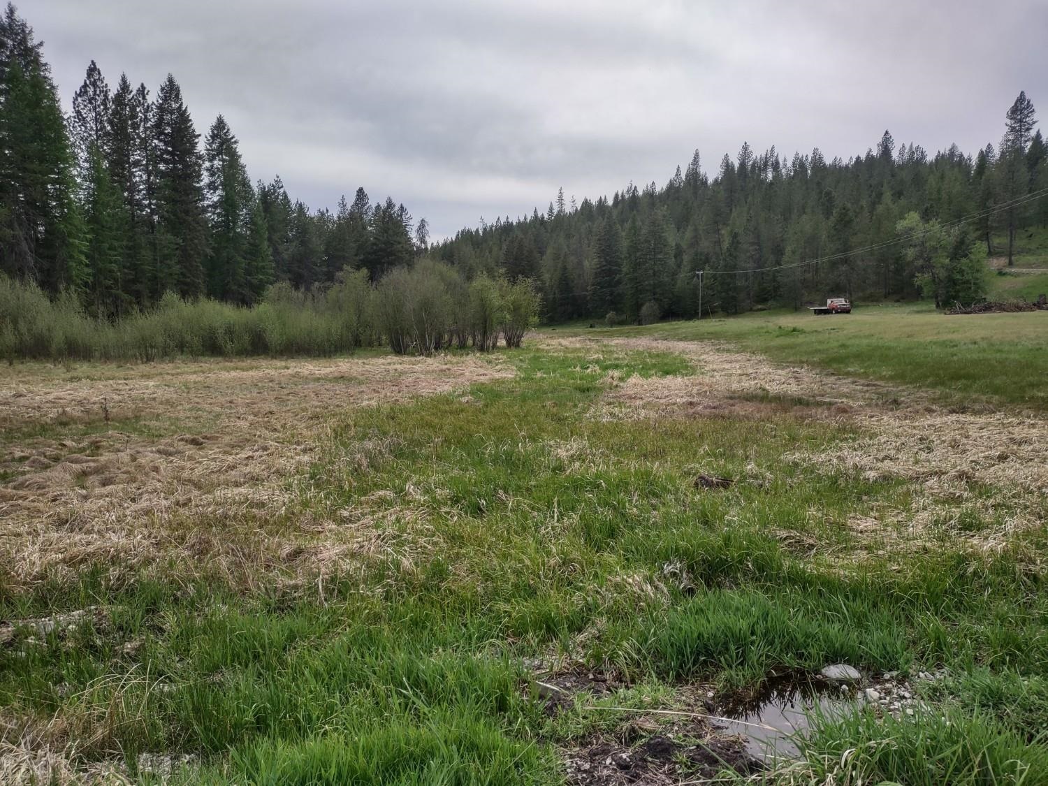 Xx East Jumpoff Road, Unit LOT 2 APPROX 64 ACRES Valley, WA 99181 - Photo 3 of 10