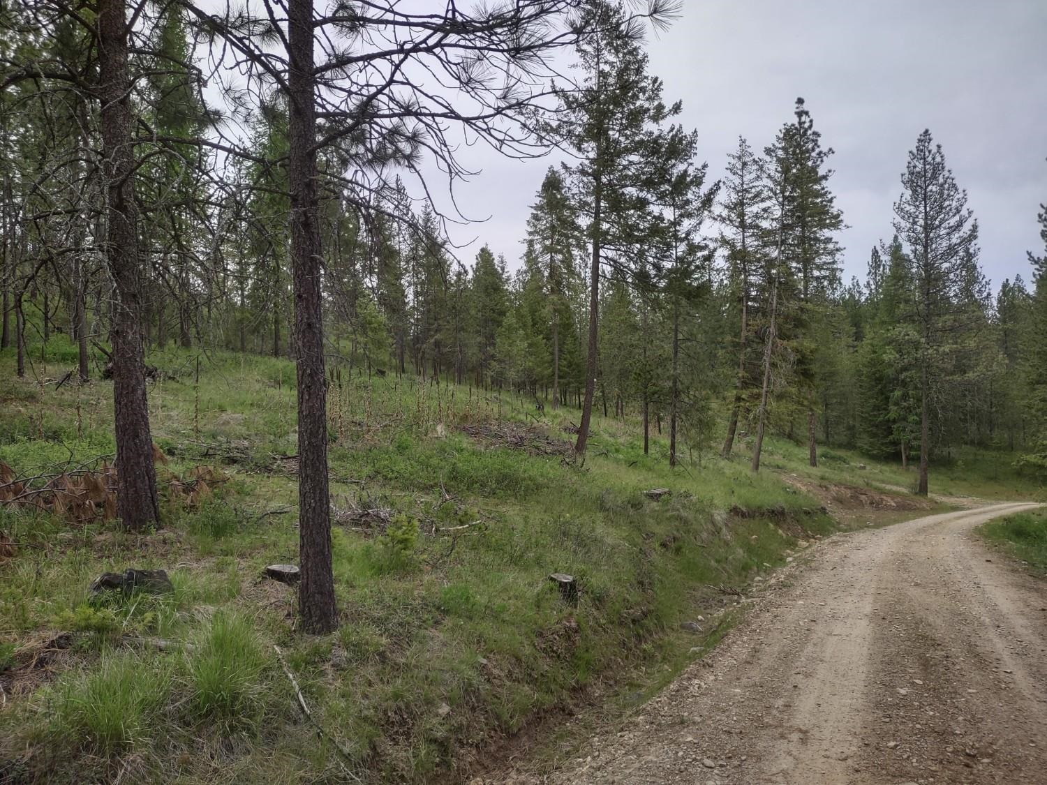 Xx East Jumpoff Road, Unit LOT 2 APPROX 64 ACRES Valley, WA 99181 - Photo 5 of 10