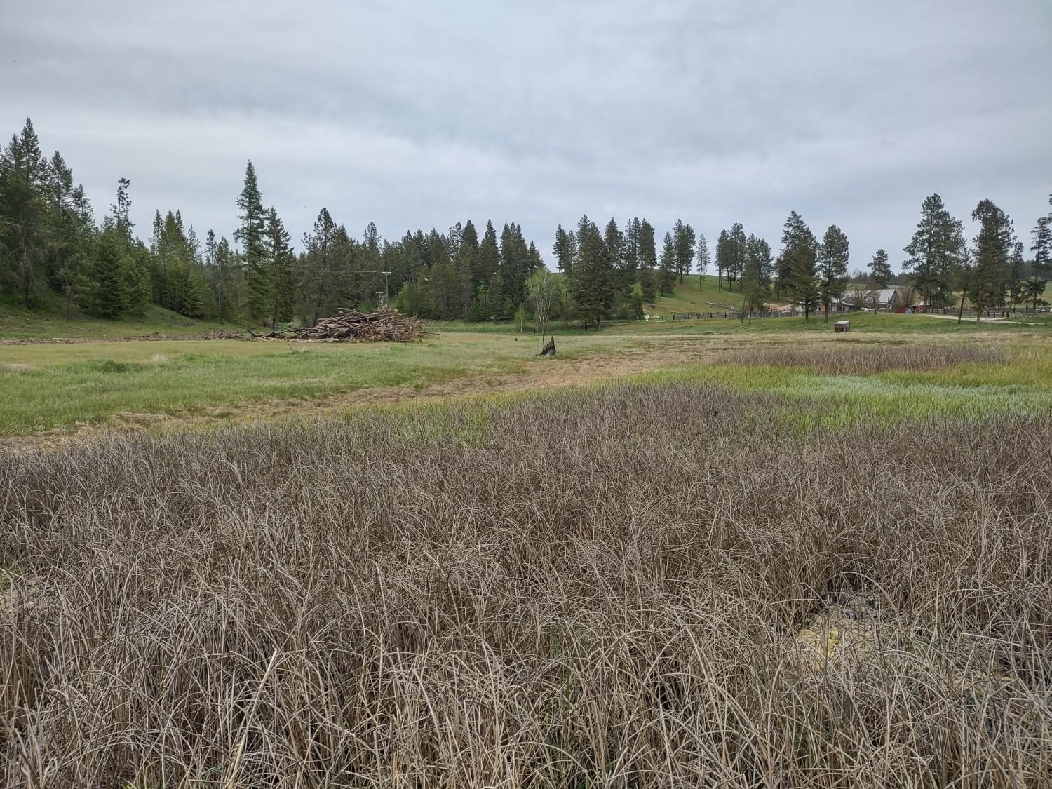 Xx East Jumpoff Road, Unit LOT 2 APPROX 64 ACRES Valley, WA 99181 - Photo 6 of 10