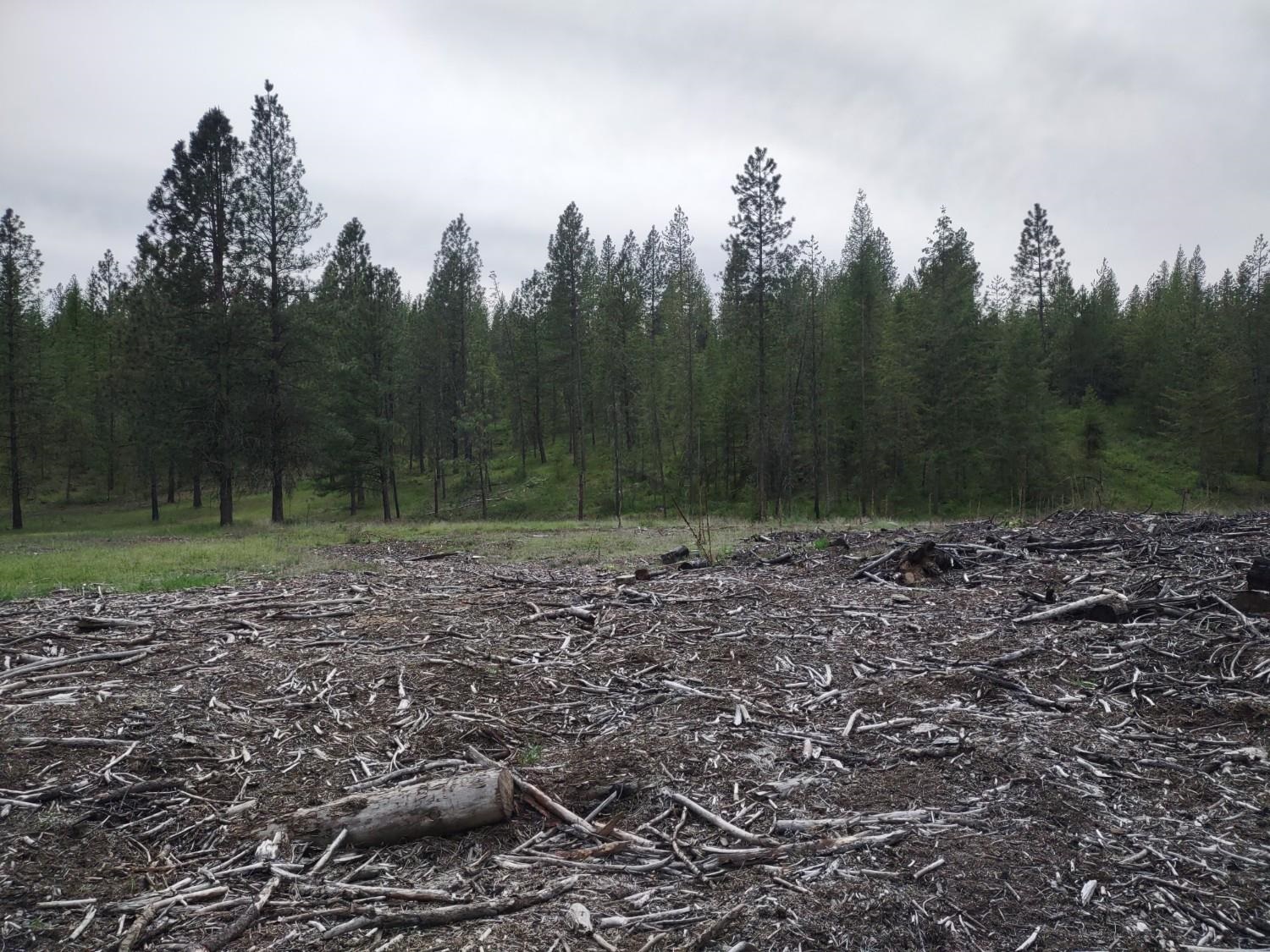 Xx East Jumpoff Road, Unit LOT 2 APPROX 64 ACRES Valley, WA 99181 - Photo 8 of 10