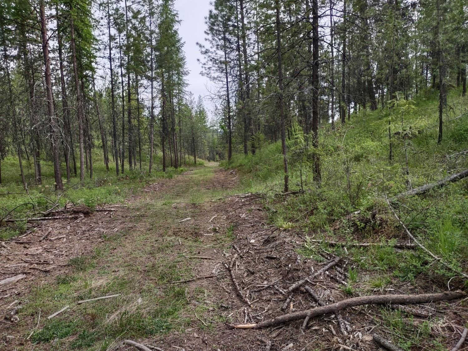 Xx East Jumpoff Road, Unit LOT 2 APPROX 64 ACRES Valley, WA 99181 - Photo 9 of 10